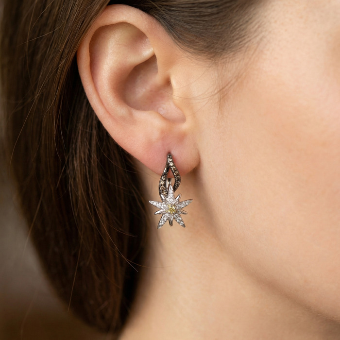acheter Boucles d'Oreilles  Créateurs Diamant Or Blanc Terre d'Edelweiss
